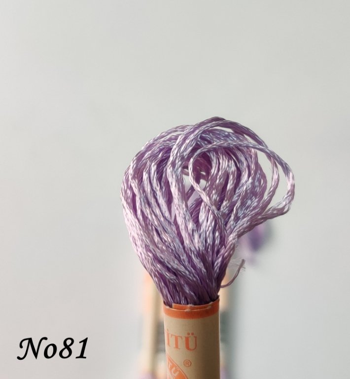 81 (DMC211) (1) (Medium)